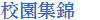 ն鶰A