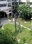 DSC02507.JPG