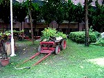DSC02524.JPG