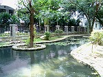 DSC02531.JPG