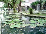 DSC02532.JPG