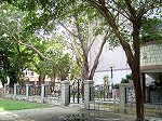 DSC02536.JPG