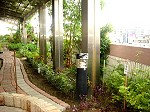 DSC08656.JPG