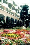 QD0022001.jpg